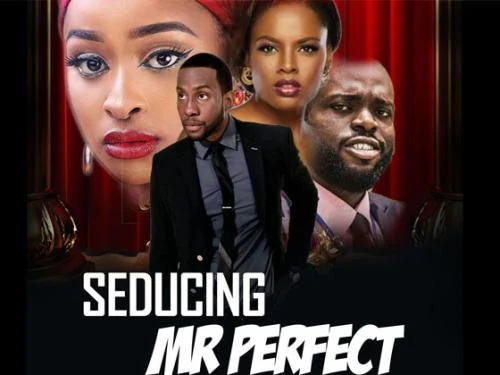 Seducing Mr Perfect – Nollywood Movie