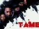 Tamed – Nollywood HD Movie