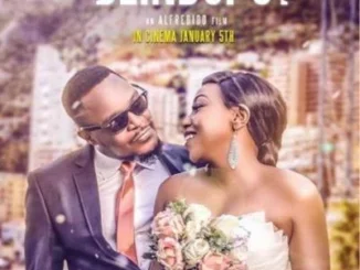 The Blindspot – Nollywood Movie