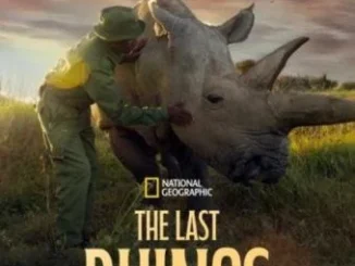 The Last Rhinos: A New Hope (2025)