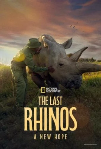 The Last Rhinos: A New Hope (2025) The Last Rhinos: A New Hope (2025)