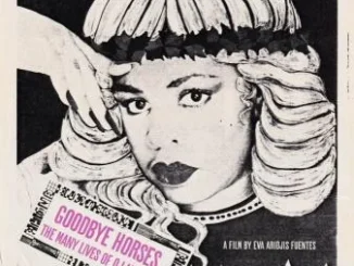 Goodbye Horses: The Many Lives of Q Lazzarus (2025)