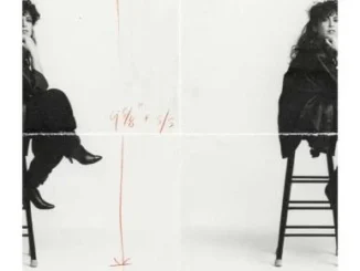 The Final Copy of Ilon Specht (2024)