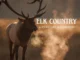 Elk Country (2025)