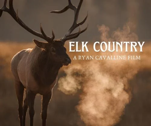 Elk Country (2025)