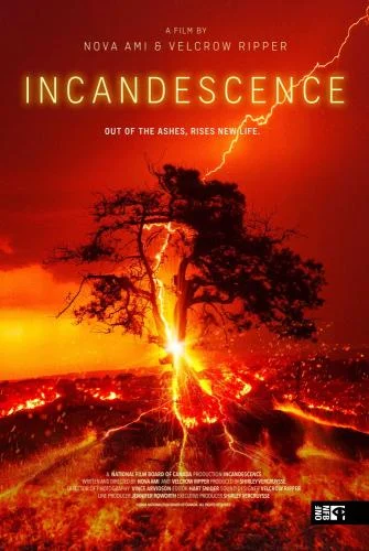 Incandescence (2024)