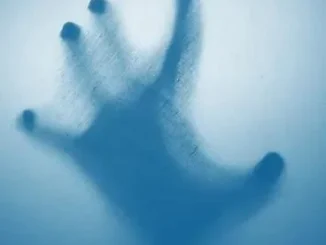 X Files (2024) – Spanish