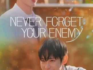 Never Forget Your Enemy Season 1 Episode 1-8  (Korean Drama)