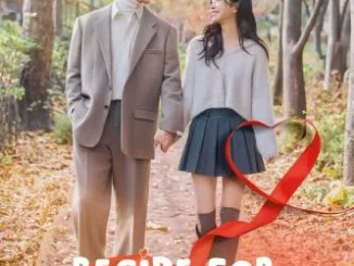 Recipe For Love Season 1 Episode 1-22 (Korean Drama)