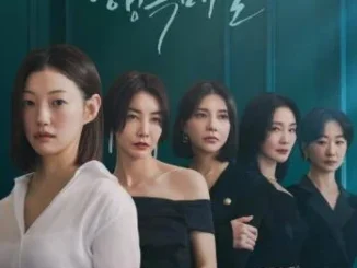 Battle for Happiness Season 1 (Complete) (Korean Drama)