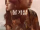Bulgasal: Immortal Souls Season 1 (Complete) (Korean Drama)