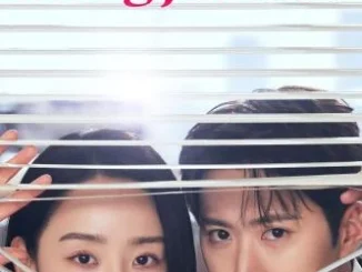 Filing for Love Season 1 (Korean Drama)