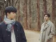 To My Star Season 2 (Complete) (Korean Drama)