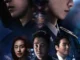 Vigilante Season 1 (Complete) (Korean Drama)