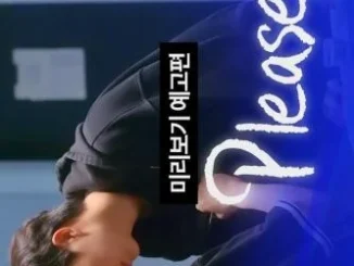 Please Yes Season 1 (Complete) (Korean Drama)