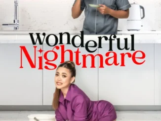 Wonderful Nightmare poster
