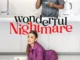 Wonderful Nightmare poster