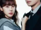 Reborn Rookie Season 1 Episode 1-10  (Korean Drama)