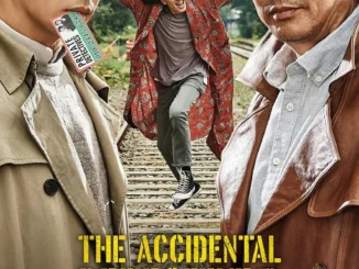 The Accidental Detective 2: In Action (2018)