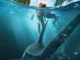 The Bay (2026)