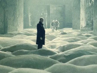 Stalker (1979)
