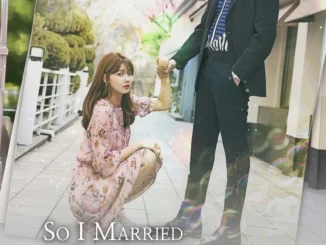 So I Married an Anti-Fan poster